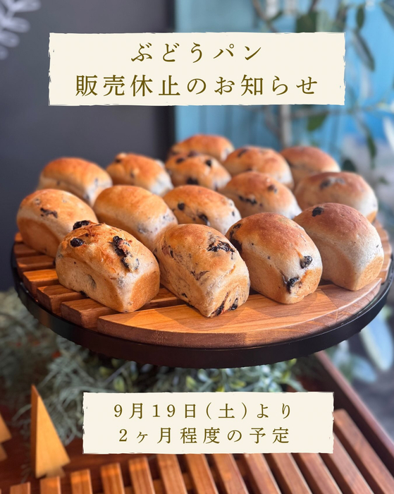 画像441